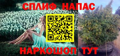 индика Усть-Илимск