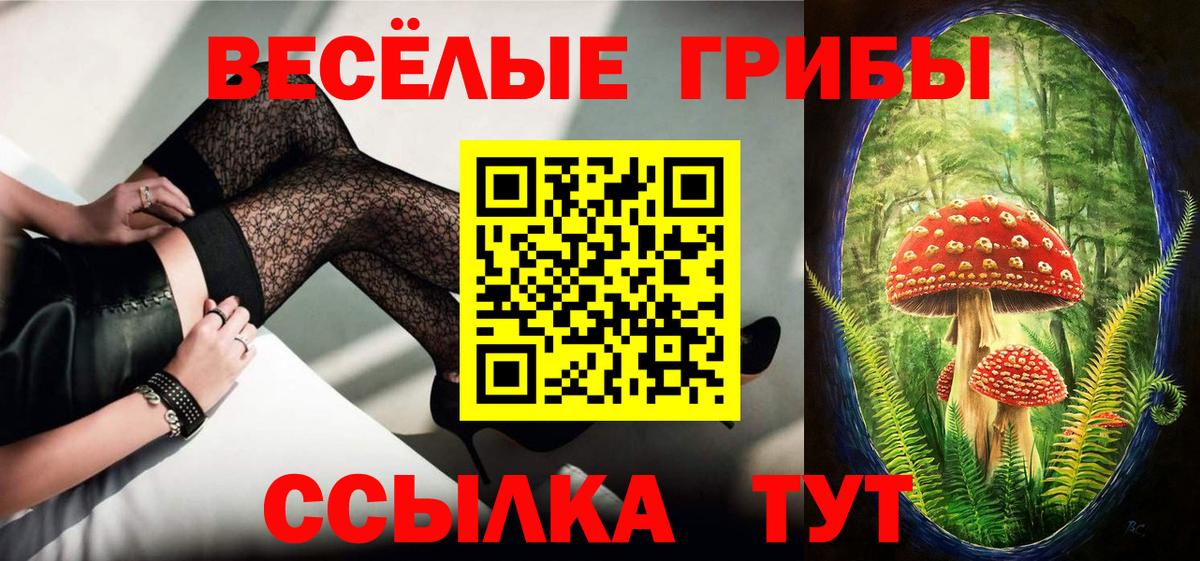 Псилоцибиновые грибы прущие грибы Алушта