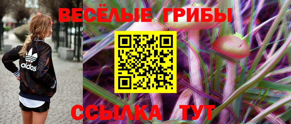 Галлюциногенные грибы мухоморы  купить наркотик  Алушта  Вход с VPN 